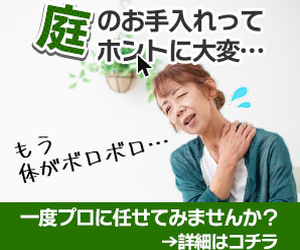 広告